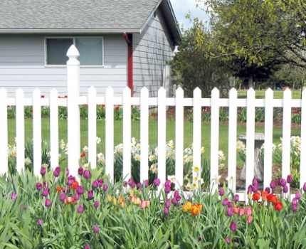 思茅園藝鐵藝圍欄